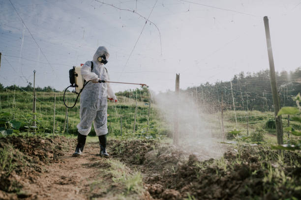 Best Ant Control Services  in Hicksville, OH