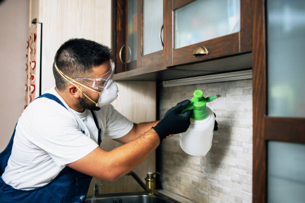  Hicksville, OH Pest Control Pros