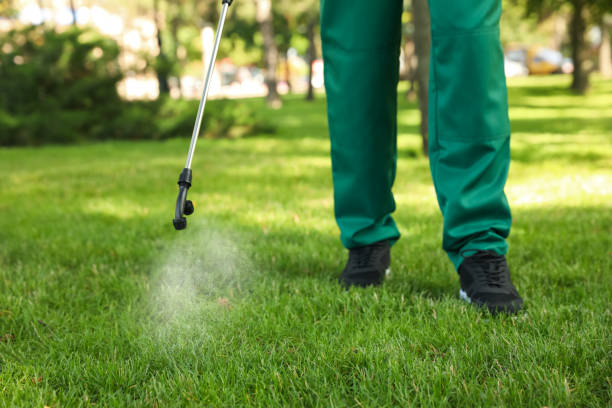 Best Pest Removal Services  in Hicksville, OH