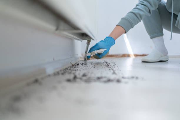 Hicksville, OH Pest Control Company