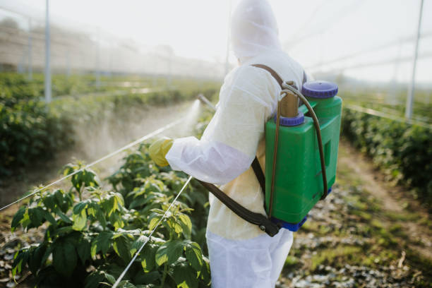 Best Local Pest Control Services  in Hicksville, OH